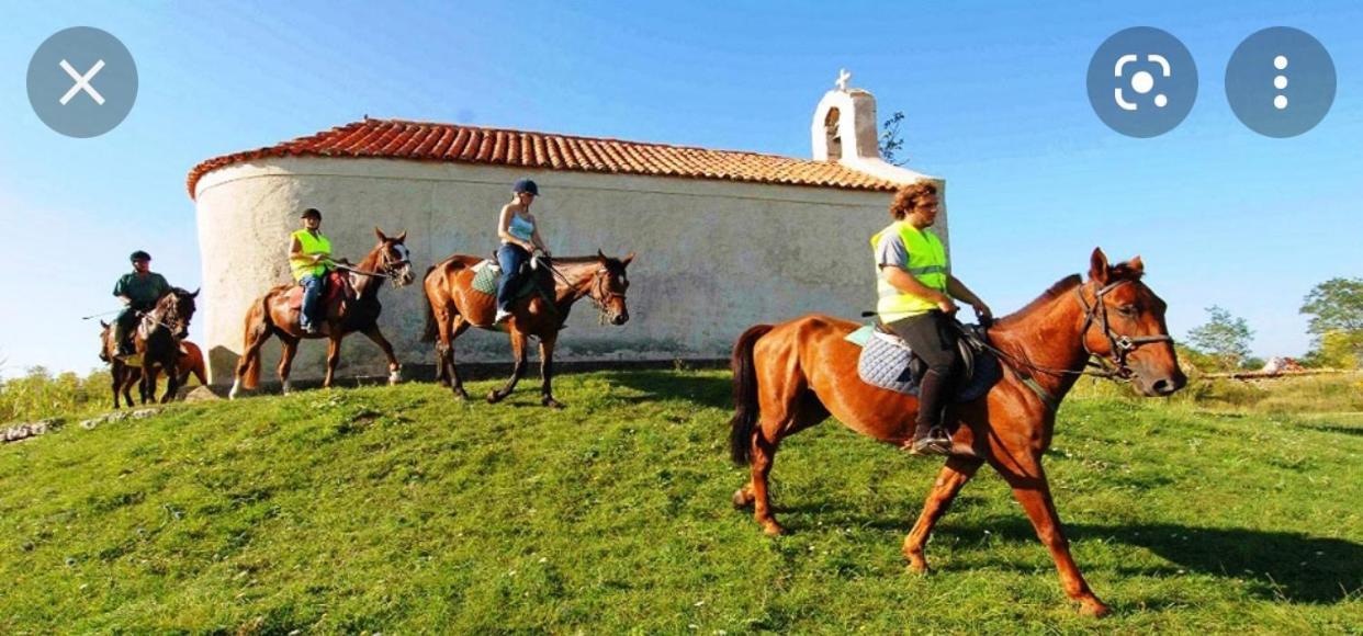Villa Panta Zadar Extérieur photo